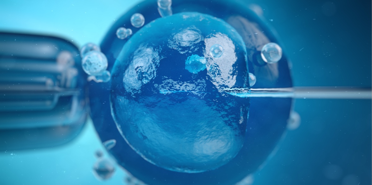 GENESIS Biomed provides support to different projects in the field of in vitro fertilisation