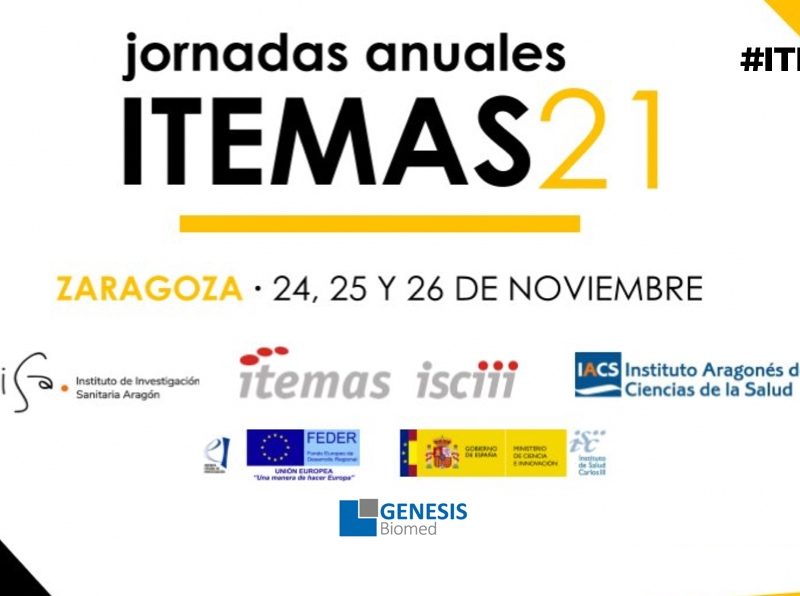Jornadas anuales ITEMAS21
