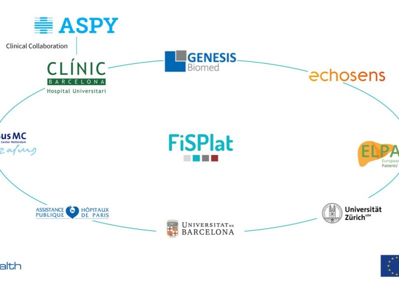 FiSPlat, a primary care tool for liver fibrosis screening