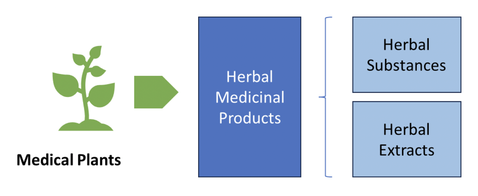 Herbal Medicinal Products > Herbal Substances - Herbal Extracts
