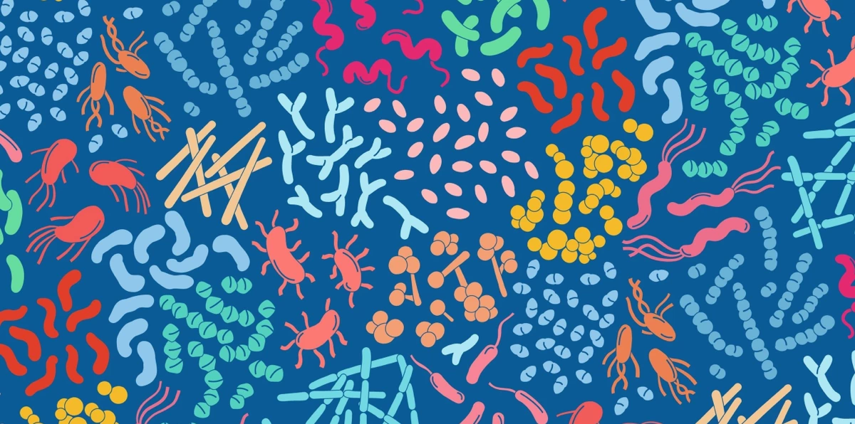 The microbiota revolution