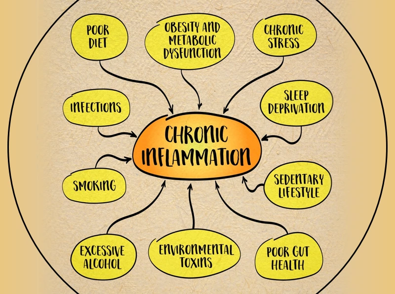 La Inflamación Crónica: Un Factor Clave en la Amenaza para el Envejecimiento Saludable y el Healthy Living